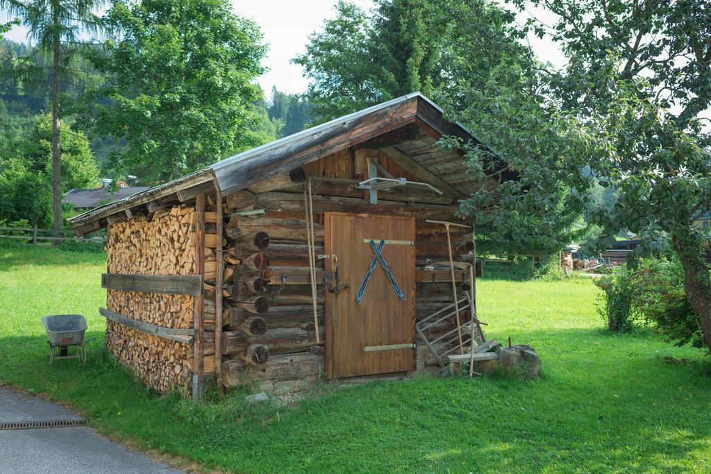 Bauernhof Auhof Apartment Wagrain Exterior foto